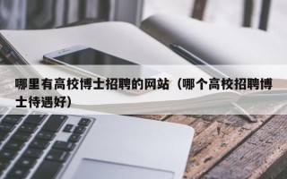 哪里有高校博士招聘的网站（哪个高校招聘博士待遇好）