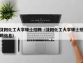 沈阳化工大学硕士招聘（沈阳化工大学硕士招聘信息）