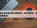 湖北电网清华硕士招聘条件（湖北电网第一批招聘条件）