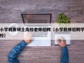 小学教育硕士高校老师招聘（小学教师招聘学校）