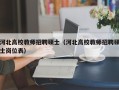 河北高校教师招聘硕士（河北高校教师招聘硕士岗位表）