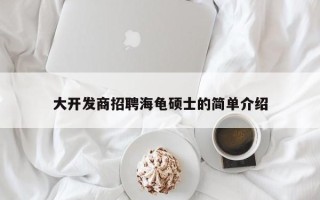 大开发商招聘海龟硕士的简单介绍