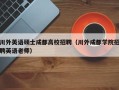 川外英语硕士成都高校招聘（川外成都学院招聘英语老师）