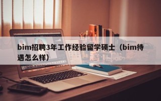bim招聘3年工作经验留学硕士（bim待遇怎么样）