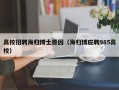 高校招聘海归博士原因（海归博应聘985高校）