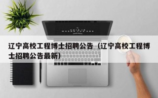 辽宁高校工程博士招聘公告（辽宁高校工程博士招聘公告最新）