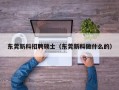 东莞新科招聘硕士（东莞新科做什么的）