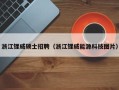浙江锂威硕士招聘（浙江锂威能源科技图片）
