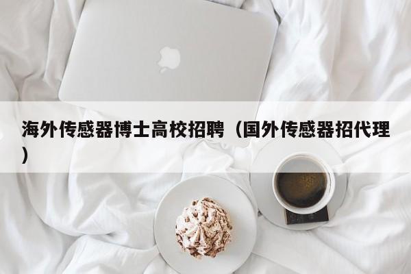 海外传感器博士高校招聘（国外传感器招代理）-第1张图片-公办高校硕士招聘信息-最新高校硕士招聘信息-公办高校招聘条件