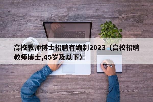 高校教师博士招聘有编制2023（高校招聘教师博士,45岁及以下）-第1张图片-公办高校硕士招聘信息-最新高校硕士招聘信息-公办高校招聘条件