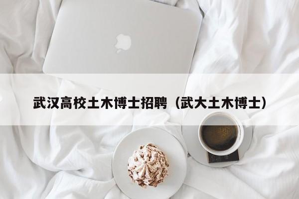 武汉高校土木博士招聘（武大土木博士）-第1张图片-公办高校硕士招聘信息-最新高校硕士招聘信息-公办高校招聘条件