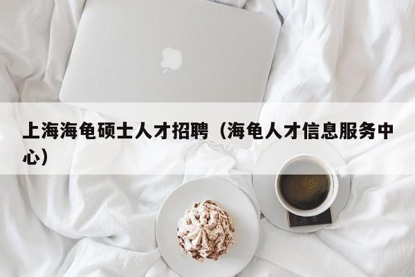 上海海龟硕士人才招聘（海龟人才信息服务中心）-第1张图片-公办高校硕士招聘信息-最新高校硕士招聘信息-公办高校招聘条件