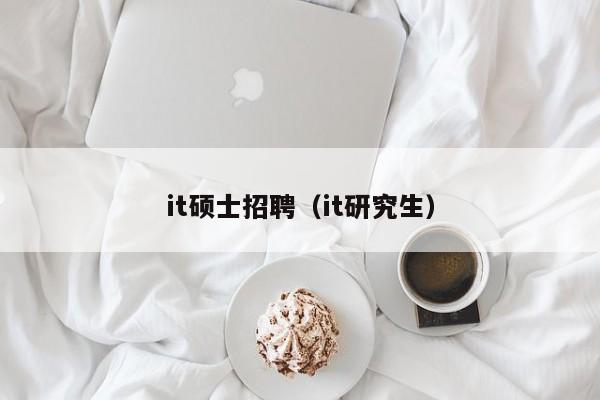 it硕士招聘（it研究生）-第1张图片-公办高校硕士招聘信息-最新高校硕士招聘信息-公办高校招聘条件