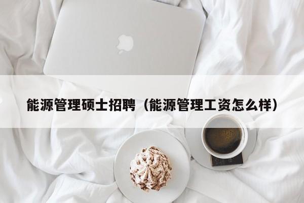 能源管理硕士招聘（能源管理工资怎么样）-第1张图片-公办高校硕士招聘信息-最新高校硕士招聘信息-公办高校招聘条件