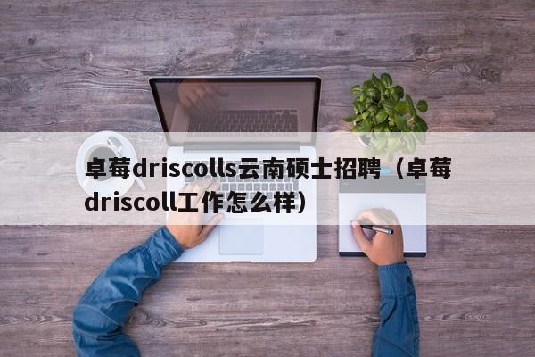 卓莓driscolls云南硕士招聘（卓莓driscoll工作怎么样）-第1张图片-公办高校硕士招聘信息-最新高校硕士招聘信息-公办高校招聘条件